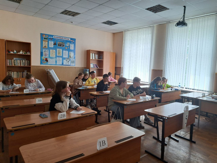 Творчество и достижения: Отчет о проектной деятельности и олимпиадных заданиях в профильном лагере «Интеллект».